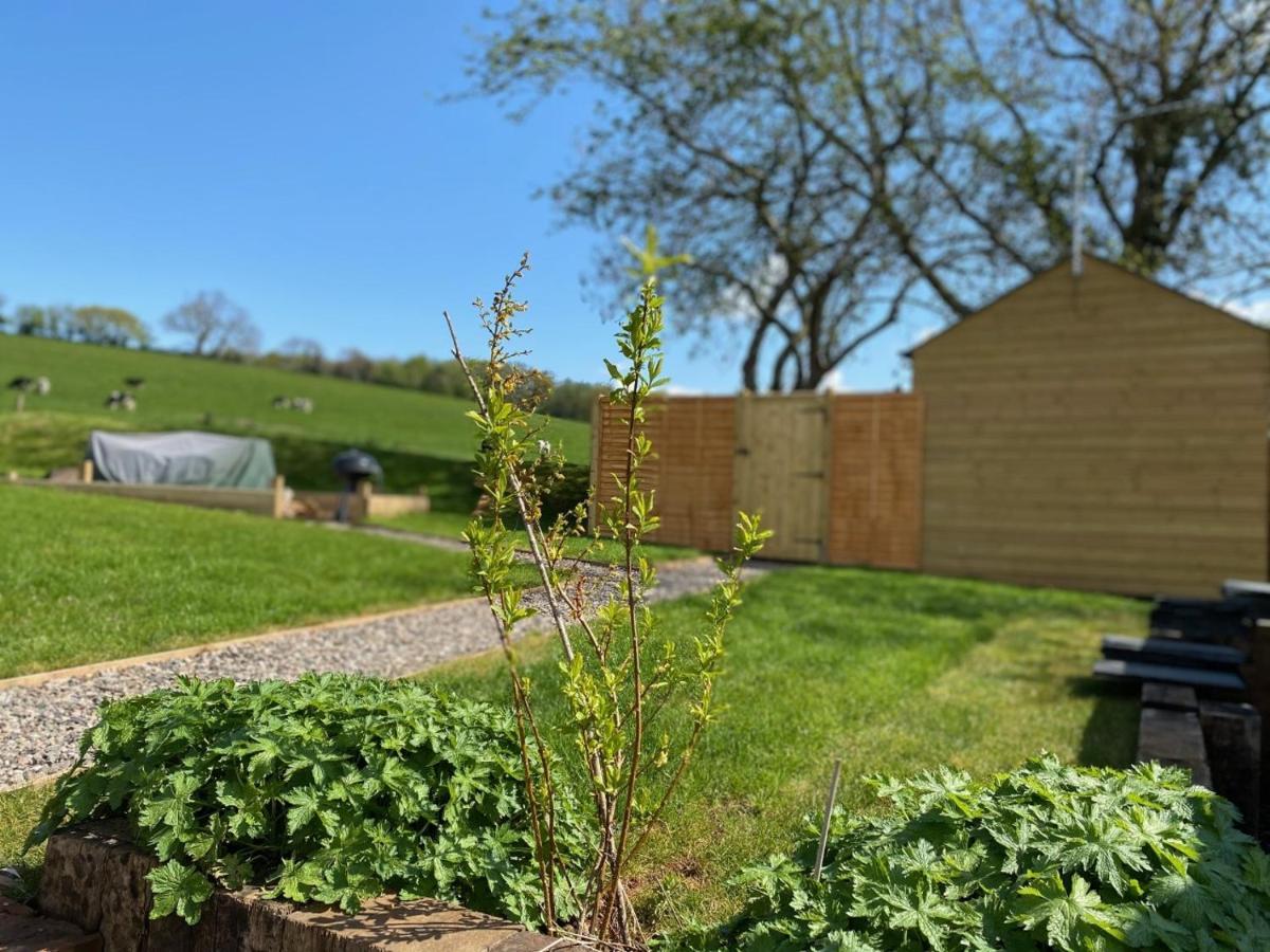 Ferienwohnung Hideaway At Hestercombe Kingston  Exterior foto